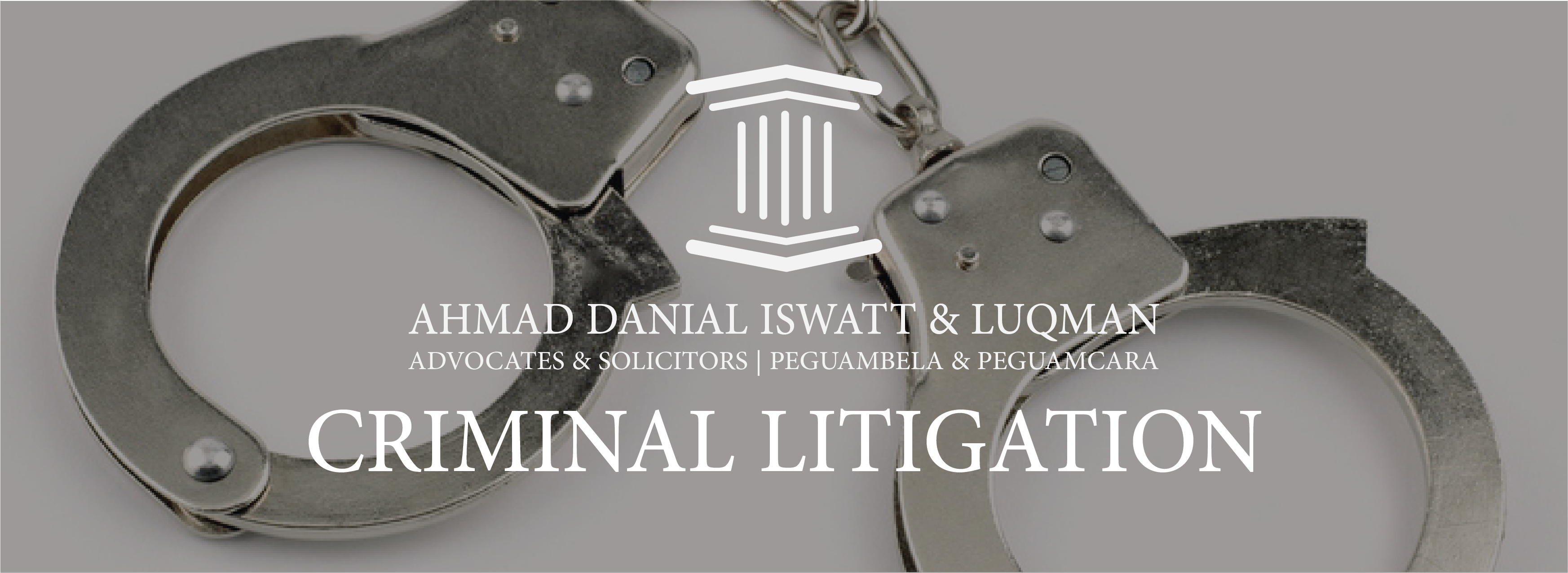 criminal litigation banner